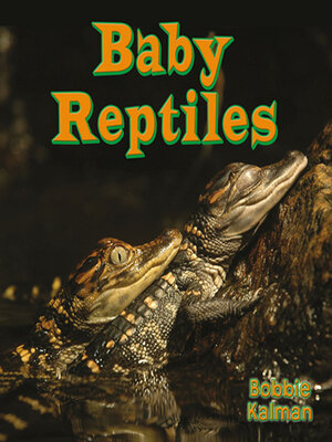 cover image of Baby Reptiles
